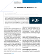 Synaptic Plasticity Multiple Forms, Functions, and