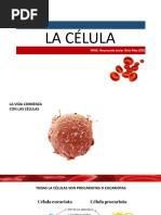 La Celula