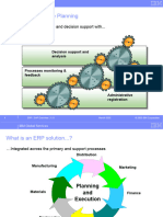 Chapter 02 - SAP ERP