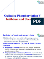 Oxidative Phosphorylation V Inhibitors and Uncouplers