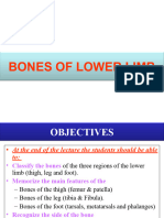 Lecture 1 - Bones of Lower Limb