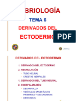 Tema 6 Ectodermo