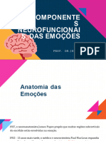 Aula 4 Componentes Neurofuncionais Das Emoções PP II