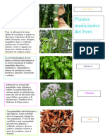 Plantas Medicinales