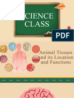 Animal Tissue