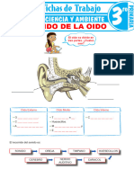 El Sentido de La Oido para Tercer Grado de Primaria