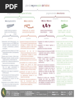 Plan, Programa, Proyecto