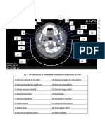 Anatomia Multiplanar-Kevin Olmedo Vanegas Unidad 2 Tarea 4.