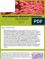 Miscellaneous Bacterial Infections