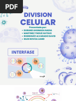 Exposicion de Biologia - Mitosis...