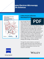 Eur J of Neuroscience - 2023 - Morrill