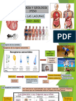 Tema 7. Los Receptores Sensoriales