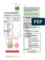 Chapter 11 - Endocrine System