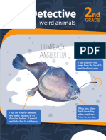 Text Detective Weird Animals Workbook