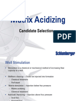 SLB Matrix Acidizing