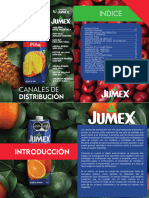 Canales de Distribucion Jugo Jumex - Compressed