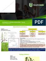 Slides Fitoterapia e o Sistema Circulatorio Parte III Plantas de D P