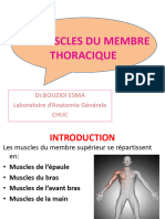 Muscles de L'épaule & Bras & Avant Bras (Diapo)