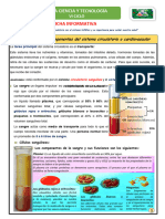 Eda 04-Ficha Informativa-Aparato Cardiovascular - Linfatico 18-7-22