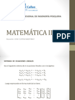 Matematica Ii