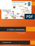 Clase de Ictericia Neonatal