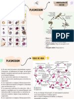 Mapa Mental MICRO