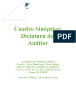 Cuadro Sinoptico Dictamen Del Auditor