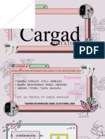 Cargador Portatil