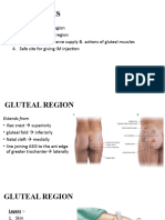 1.gluteal Region