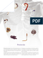 Quick Guide Mycotherapy Protocols