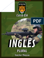 ESA INGLÊS - Plural-2