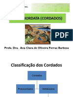 AULA - Cordados - COMPLETA - AC