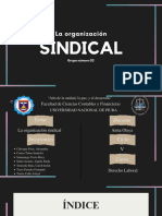 SINDICATOS