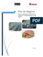 Plan de Negocio para La Acuicultura Industrial de La Tilapia en El Departamento de San Martín