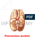 Anatomy by DR - Jalal (Neuroscience)