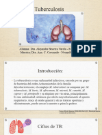 Tuberculosis Respiratoria