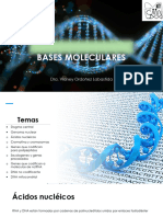 1 Bases Moleculares