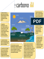 El Ciclo de Carbono