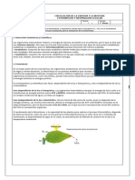 G1 Fotosíntesis-Respiración