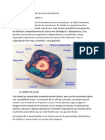 Biologia Tema 3 Wuolah