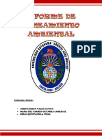 Informe de Contaminación Acústica Saneamiento1