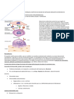 Patologia 2 Todo Resumen Hasta Unidad 10