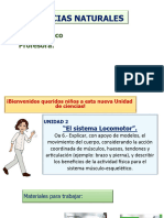 Ciencias 4° Básico El Sistema Locomotor 31 de Mayo A 9 de Julio