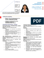 7.1. CV - Prevencionista - Casamayor Yois