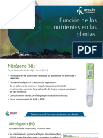 Funciones de Los Elementos en La Planta