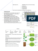 Resumen de Bio - Plant Nutrition