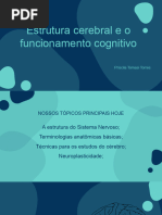 Estrutura Cerebral e o Funcionamento Cognitivo: Priscila Tomasi Torres