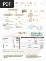 Neuroanatomia - Clase 1 Generalidades 