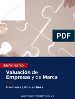 Seminario de Valuación de Empresas y de Marca - TN University