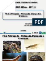 Aula 9 - Arthopoda Chilopoda Diplopoda Crustacea